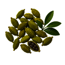 Cardamom