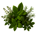 Herbal Blends